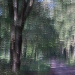 Lightness
