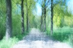 Strolling on a leafy lane