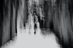 Vows to the light